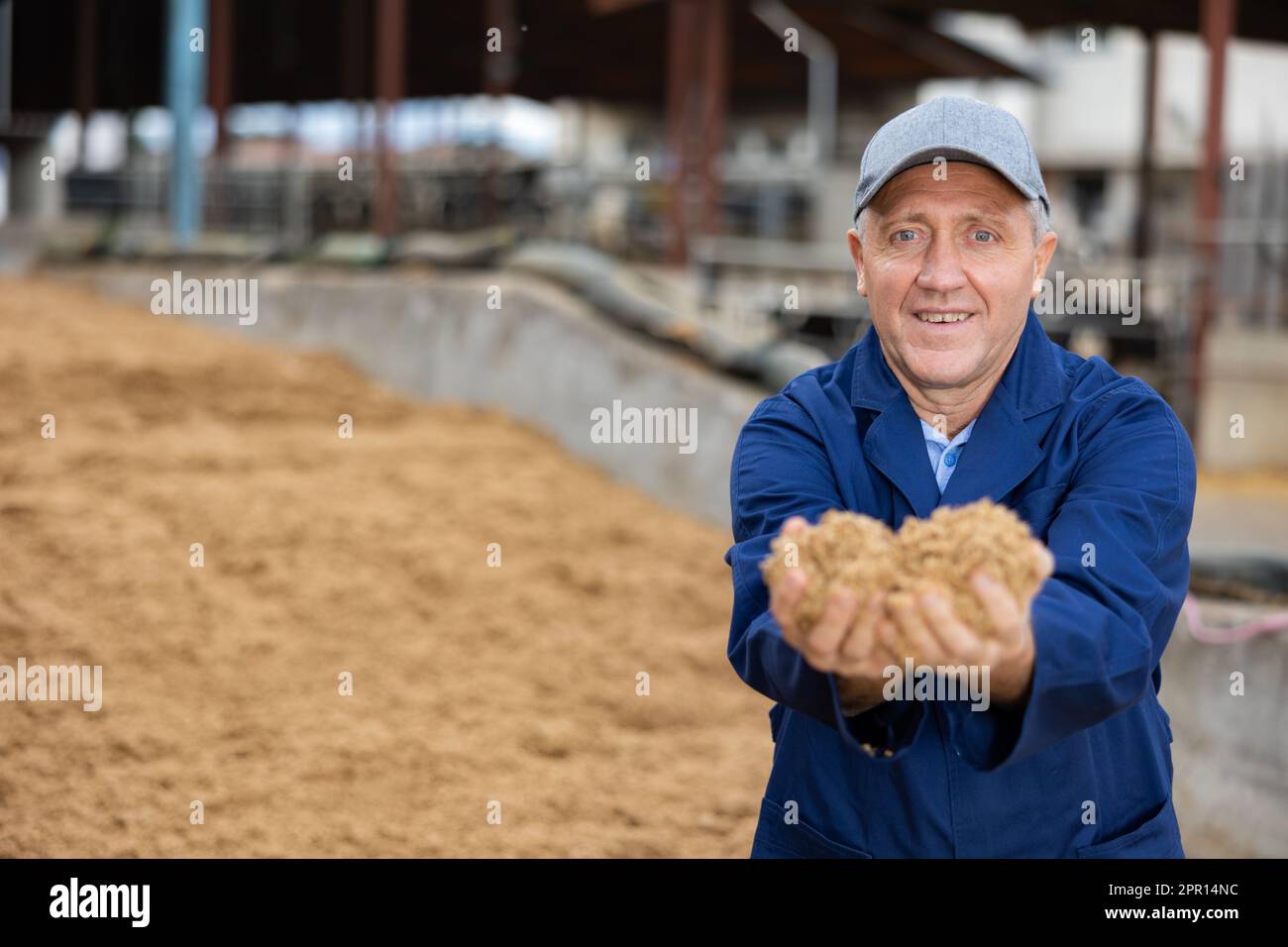 Positive farmer with bunch of brewer's spent grain Stock Photo Alamy