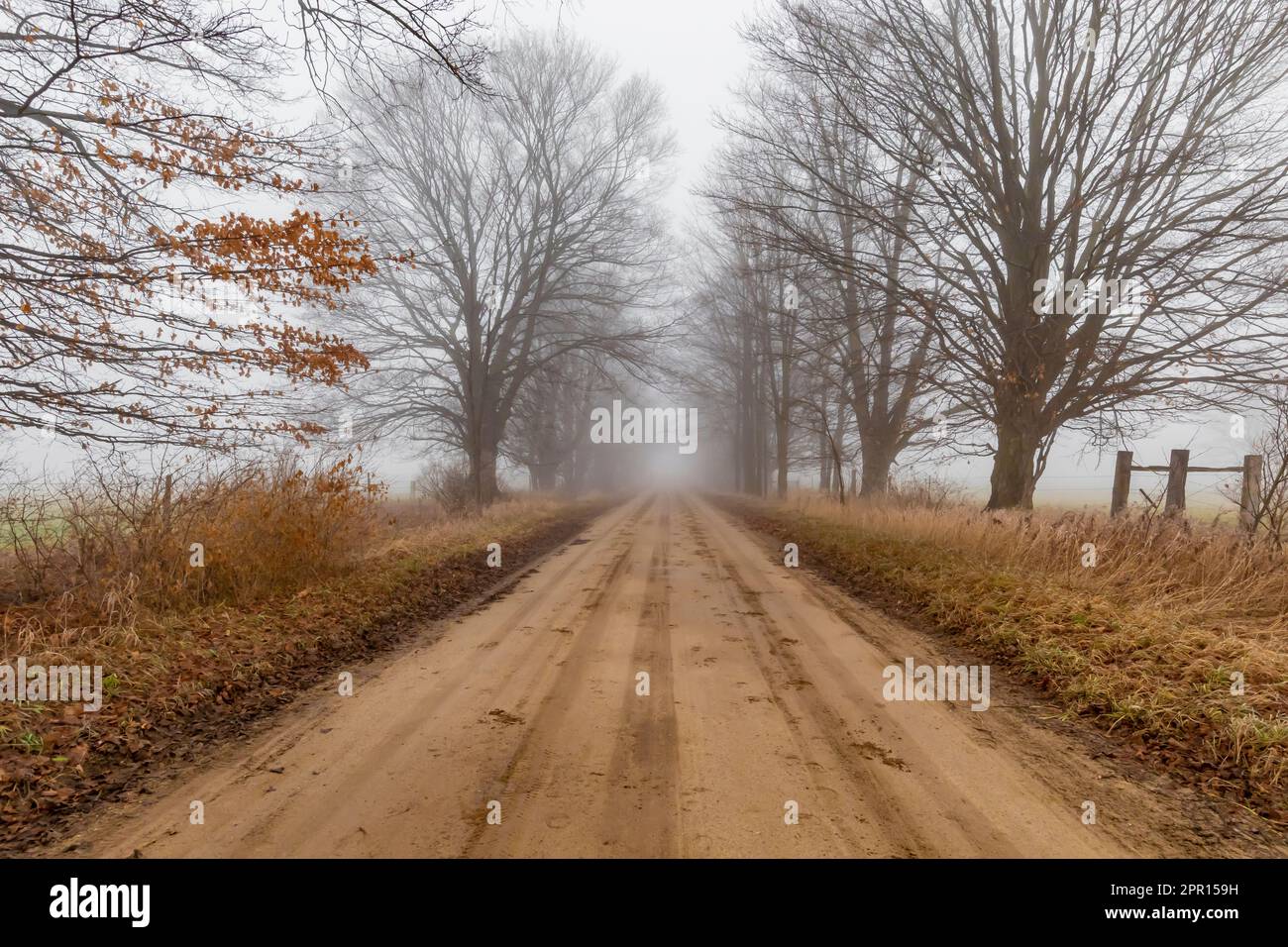 Sandy road through Amish farmland in Central Michigan, USA Stock Photo