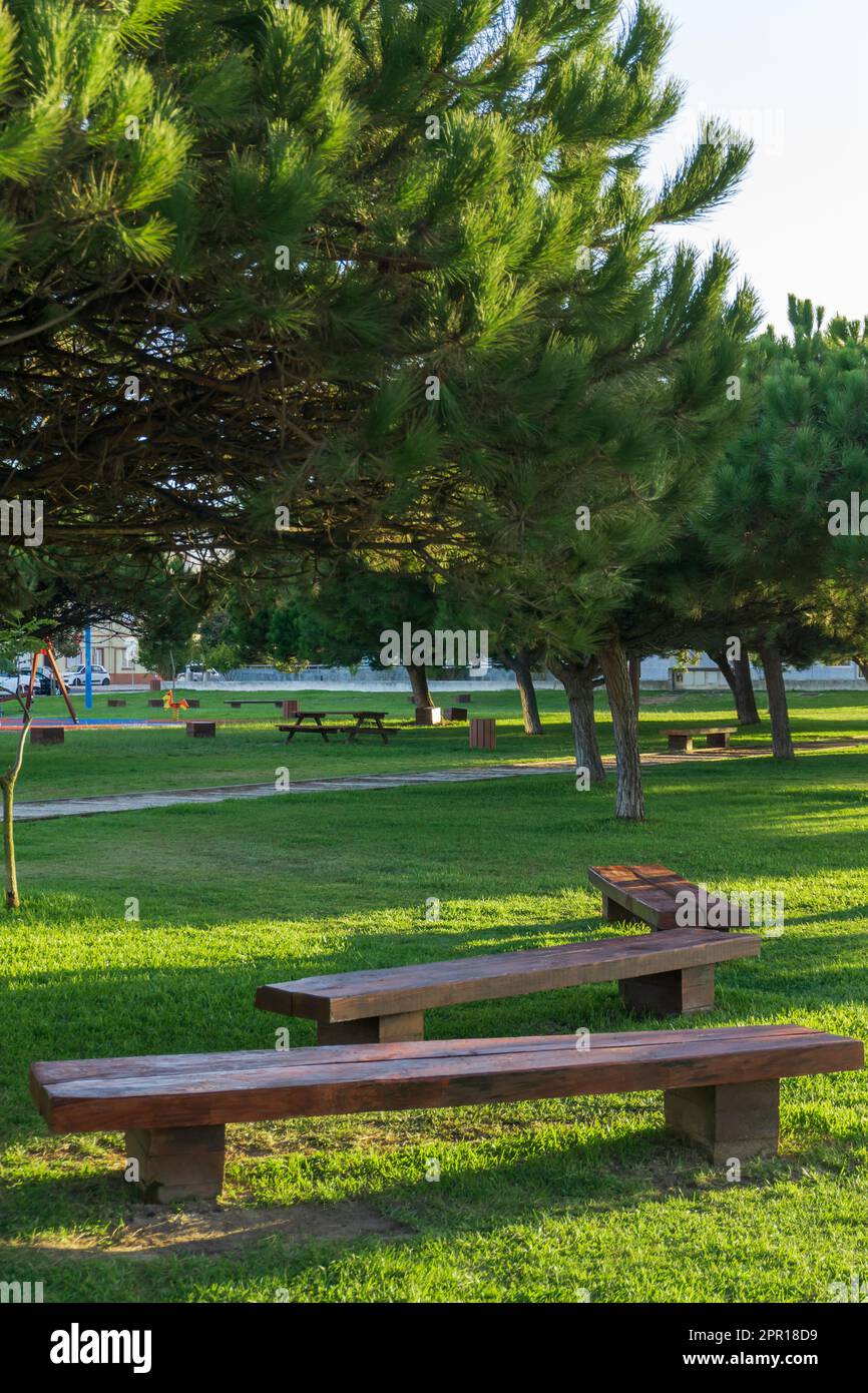 Wooden benches in the park Stock Photo - Alamy