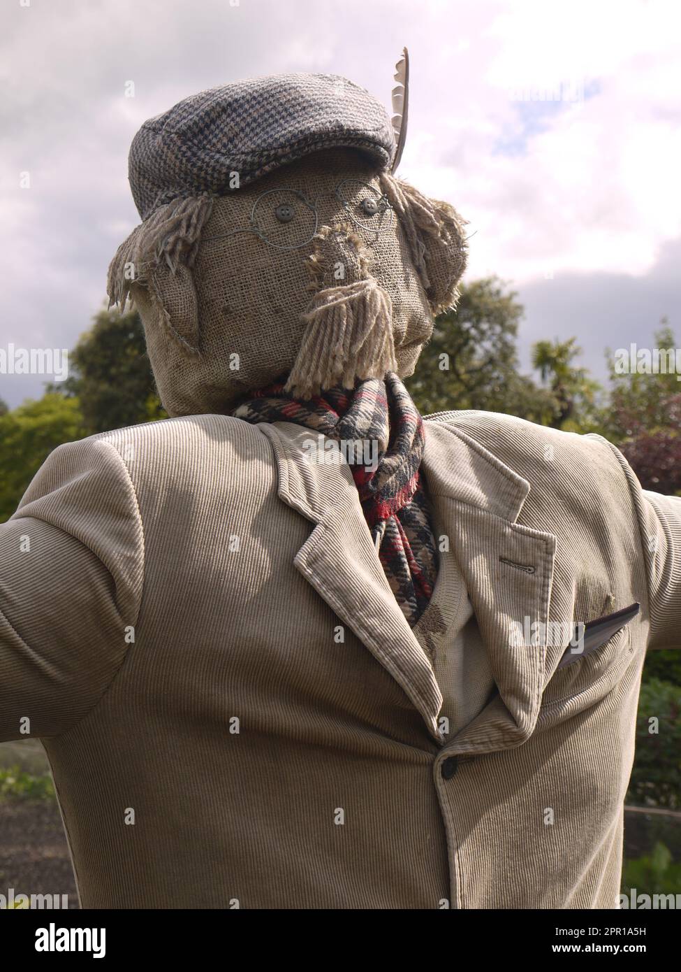 Profile of Diggory, the scarecrow in the Kitchen Garden at the Lost Gardens of Heligan, wearing a fetching tweed flat cap and tan corduroy jacket Stock Photo