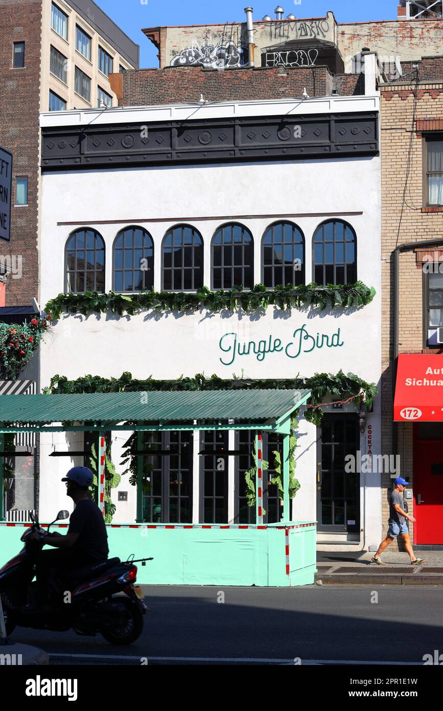 Jungle Bird, 174 8th Ave, New York, NYC storefront photo of a tropical cocktail bar in Manhattan's Chelsea neighborhood. Stock Photo