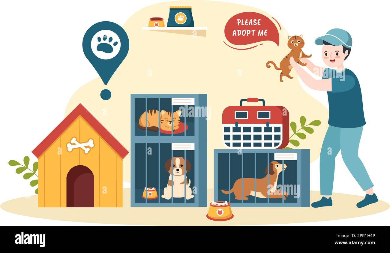 Adopt a Pet From an Animal Shelter in the Form of Cats or Dogs to Care