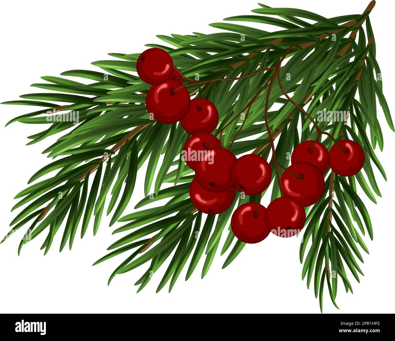 Christmas Tree Branch Stock Vector Image & Art Alamy