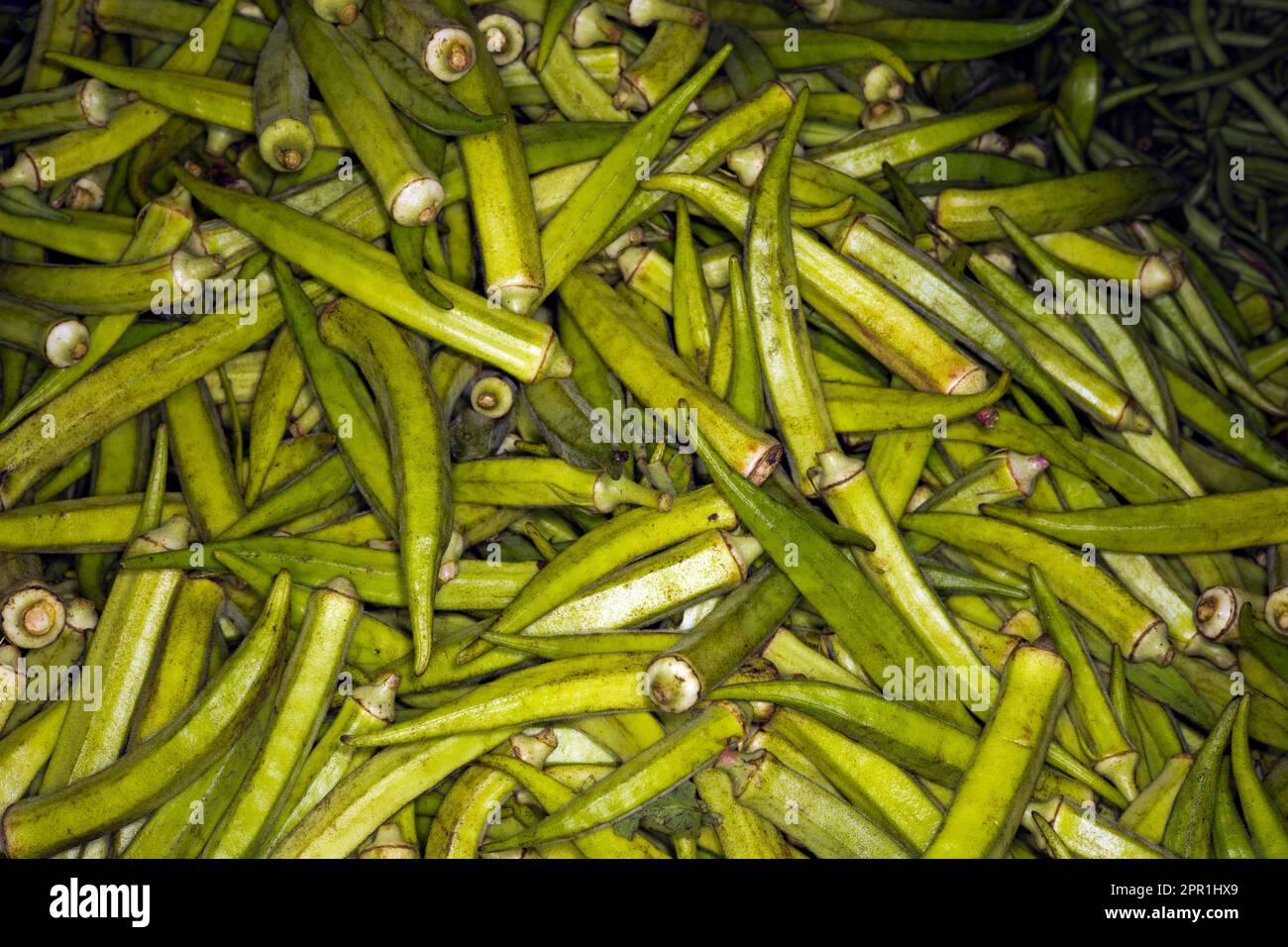 Fresh okra,  ladies' fingers, raw Stock Photo