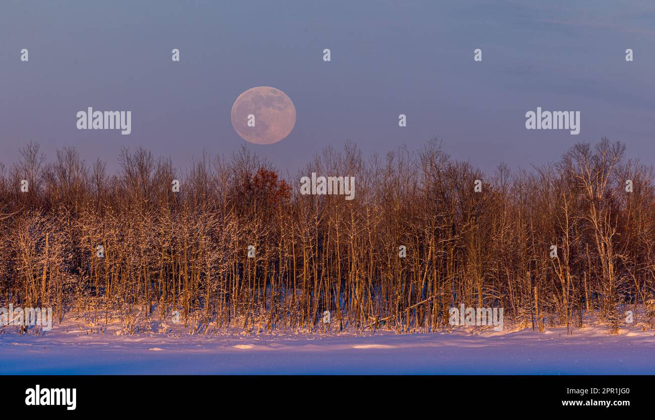 The wolf moon rising over a wilderness lake in northern Wisconsin. Stock Photo