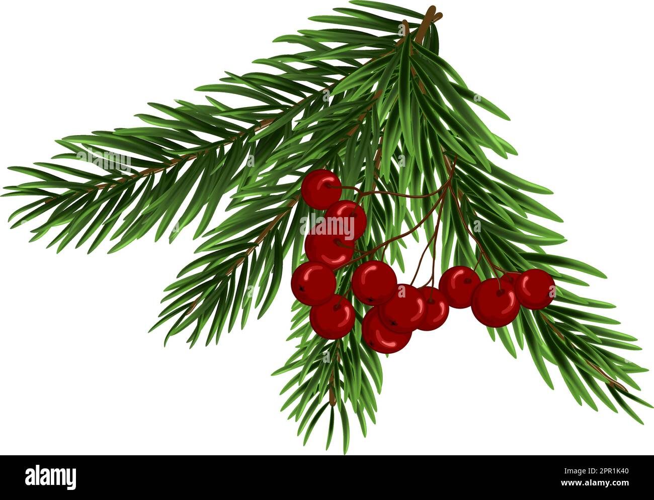 Christmas Tree Branch Stock Vector Image & Art Alamy
