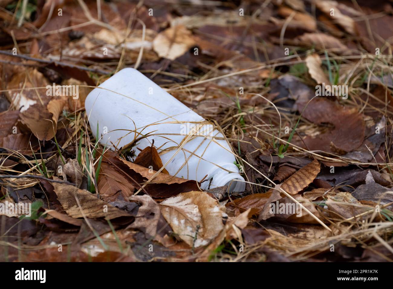 An empty white plastic bottle dropped in the leaves in the Adirondack
