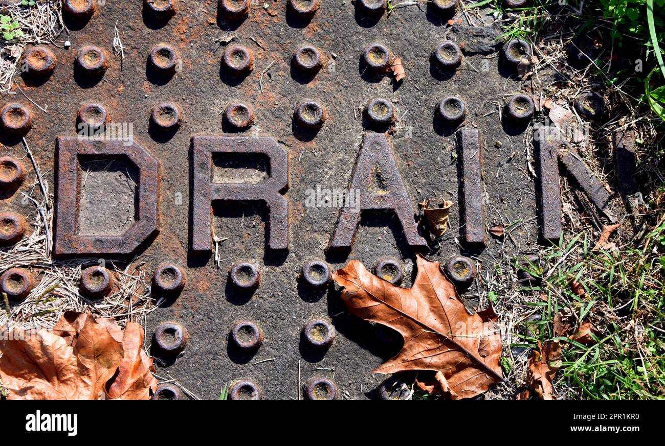 The word drain is spelled across a circular metal cover. Cover is rusted and fading. Two brown