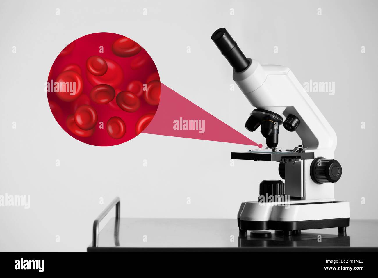 Examination of blood sample under microscope in laboratory Stock Photo