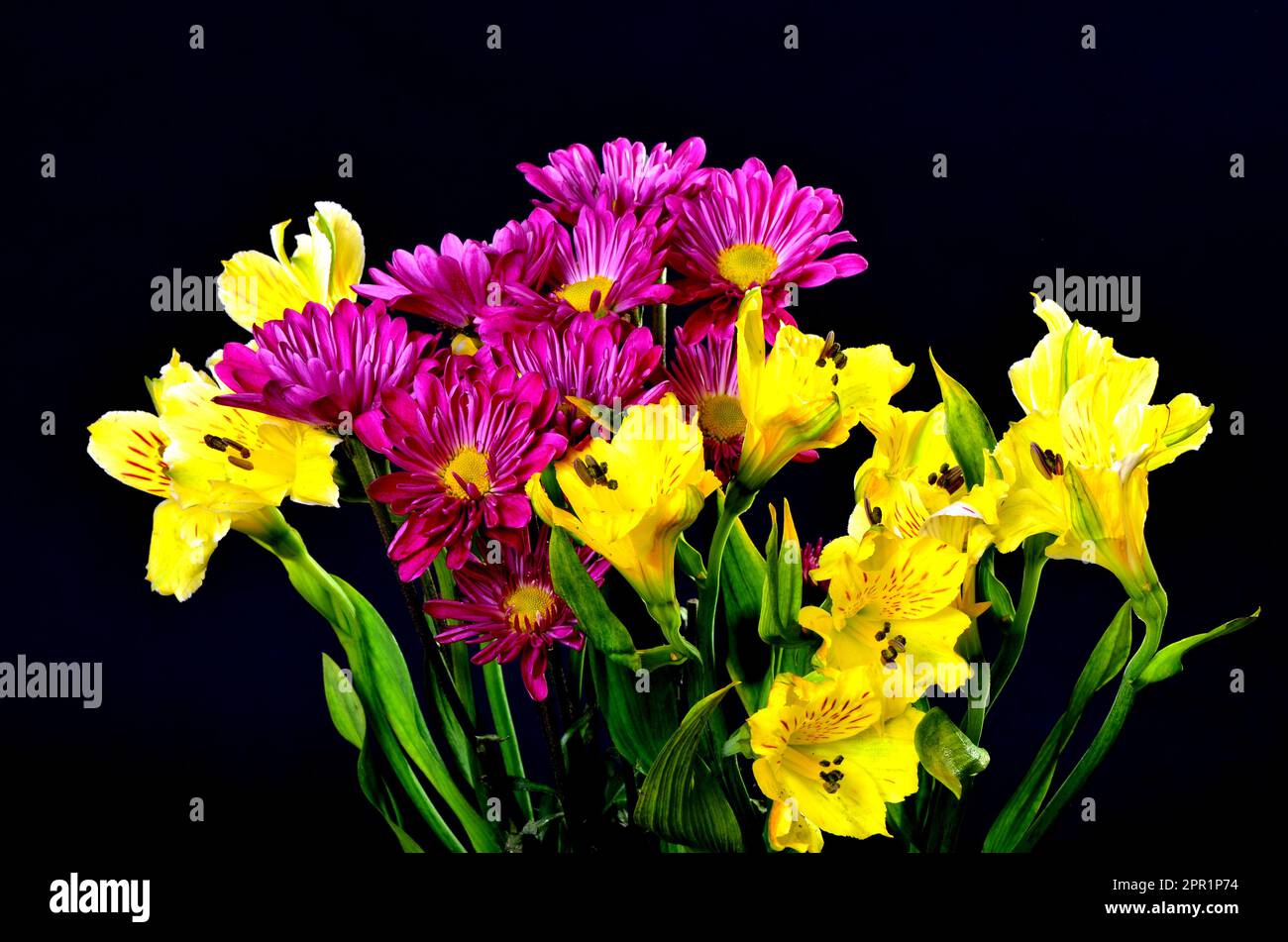 Floral arrangement isolated over a black background Stock Photo - Alamy