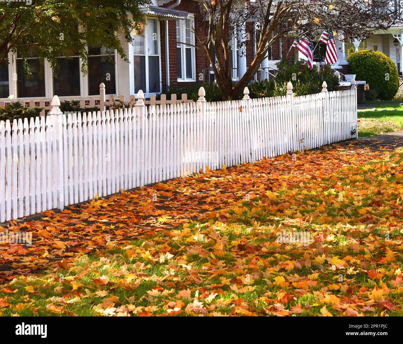 White, picket fence lines sidewalk covered in Autumn leaves in