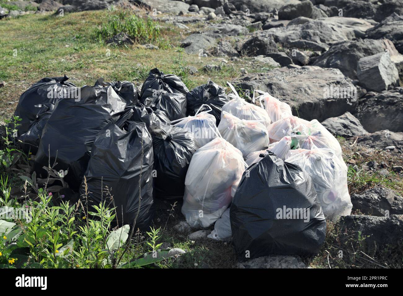 Many trash bags full of garbage outdoors. Environmental Pollution concept Stock Photo