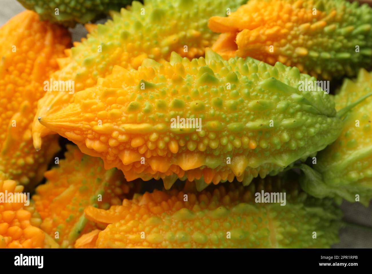 Many fresh bitter melons as background, closeup Stock Photo