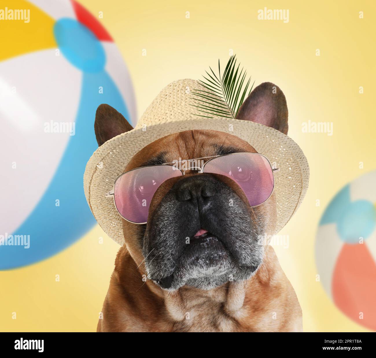 Cute dog in hat and sunglasses on color background. Summer party Stock