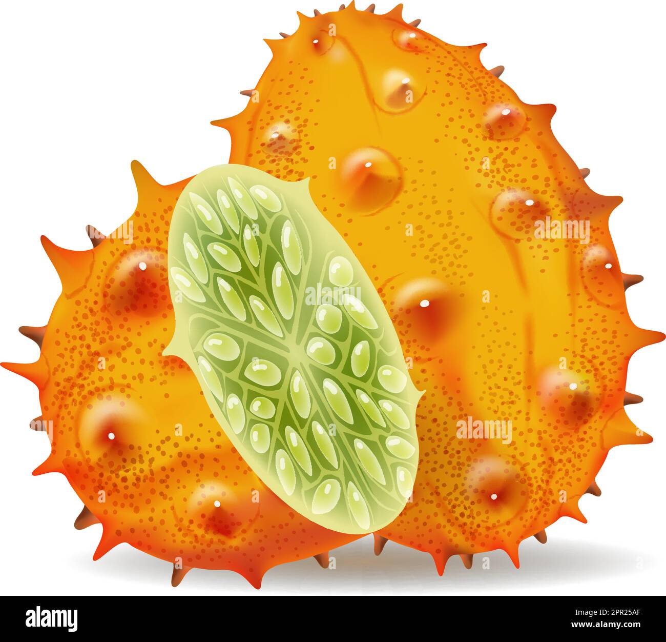 Realistic kiwano fruit Stock Vector Image & Art Alamy