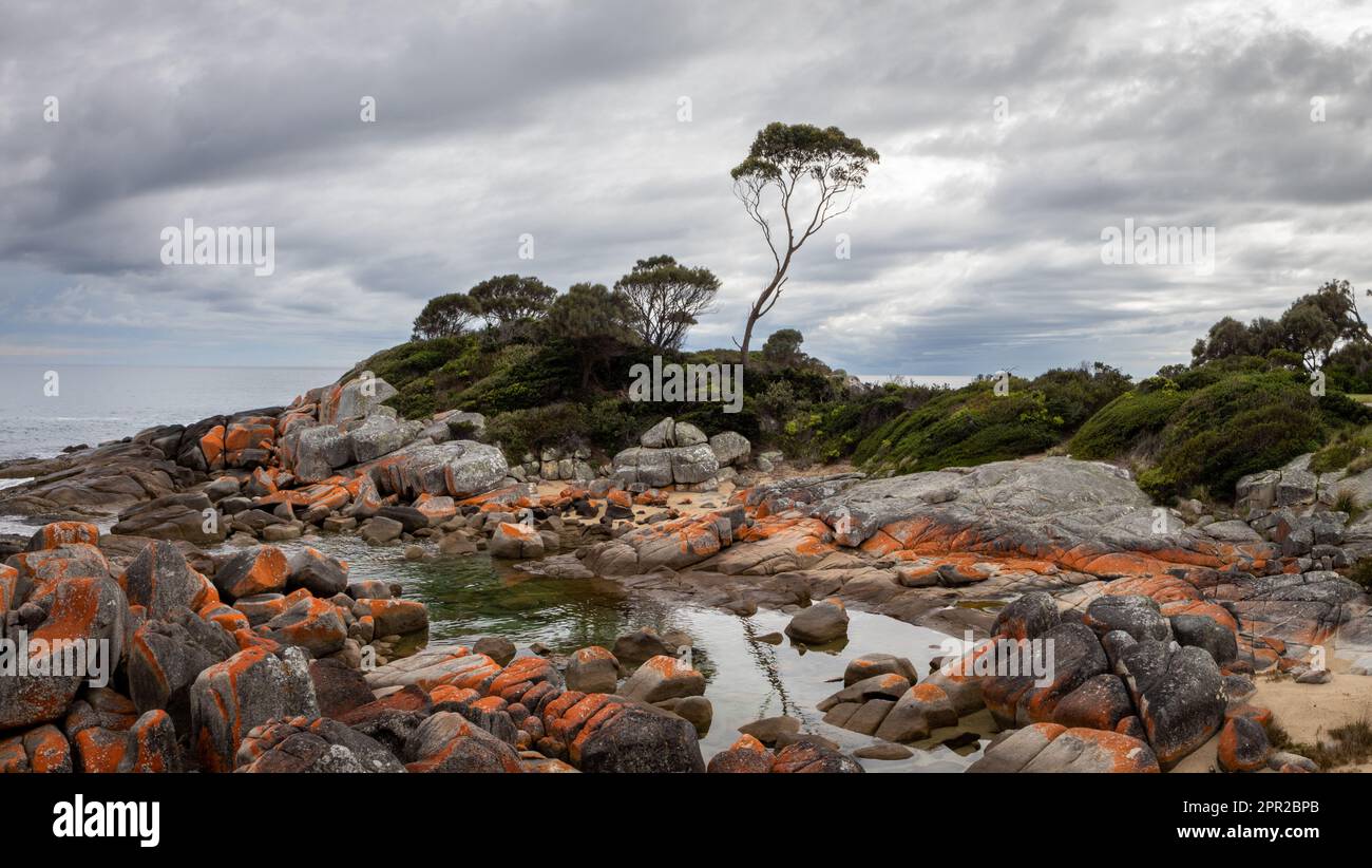 Binalong Bay, Tasmania, Australia Stock Photo Alamy