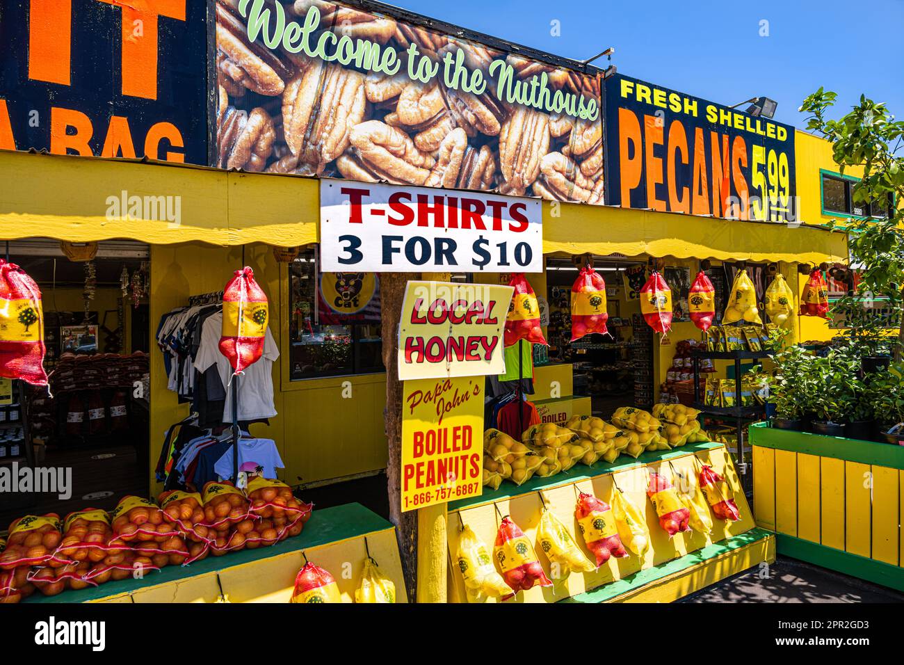 Florida tourist trap featuring Indian River Citrus, fresh pecans, gator jerky, fireworks and souvenirs along I-95 and U.S. 1 in St. Augustine, FL. Stock Photo