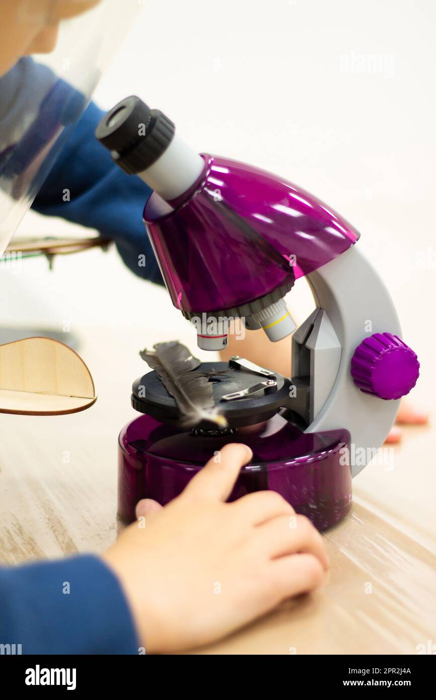 Boy looking through a purple microscope at a bird feather, at a ...