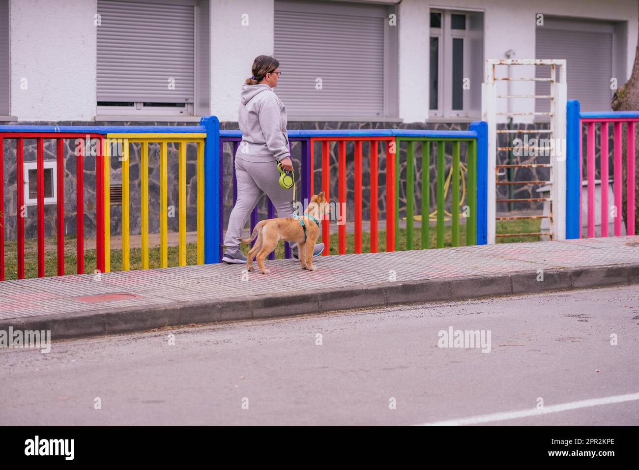 A dog walker glides with his pet on a leash while walking on the