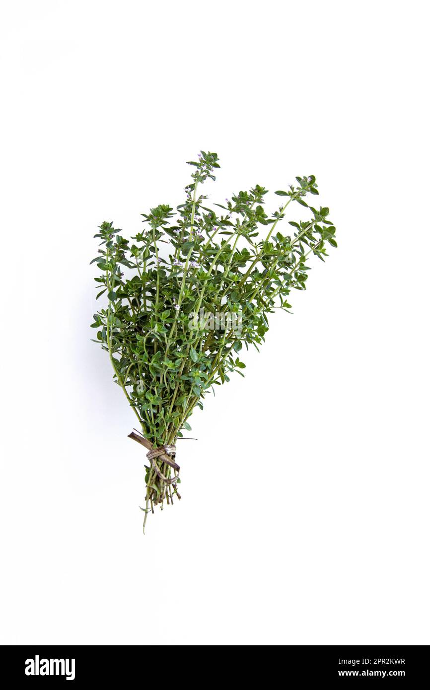 Fresh thyme bunch isolated on white background Stock Photo