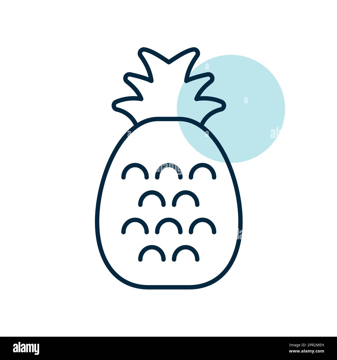 Pineapple tropical fruit vector icon Stock Vector Image & Art - Alamy