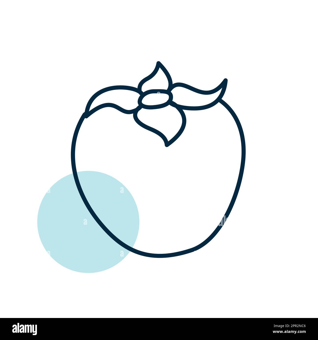 Persimmon, kaki or sharon fruit vector icon Stock Vector Image & Art ...