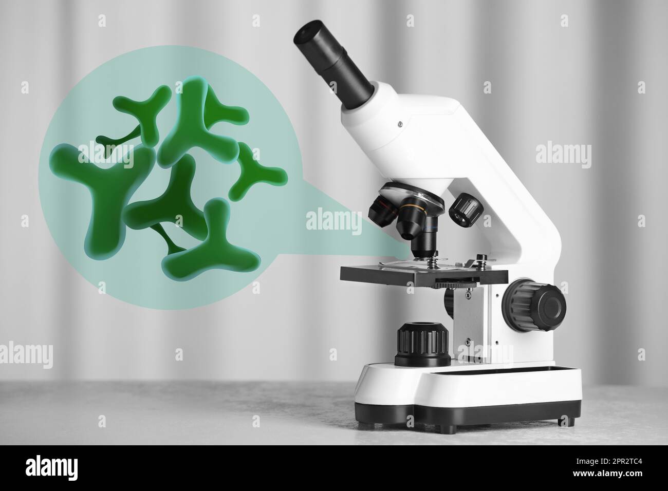 Examination of sample with germs under microscope in laboratory Stock
