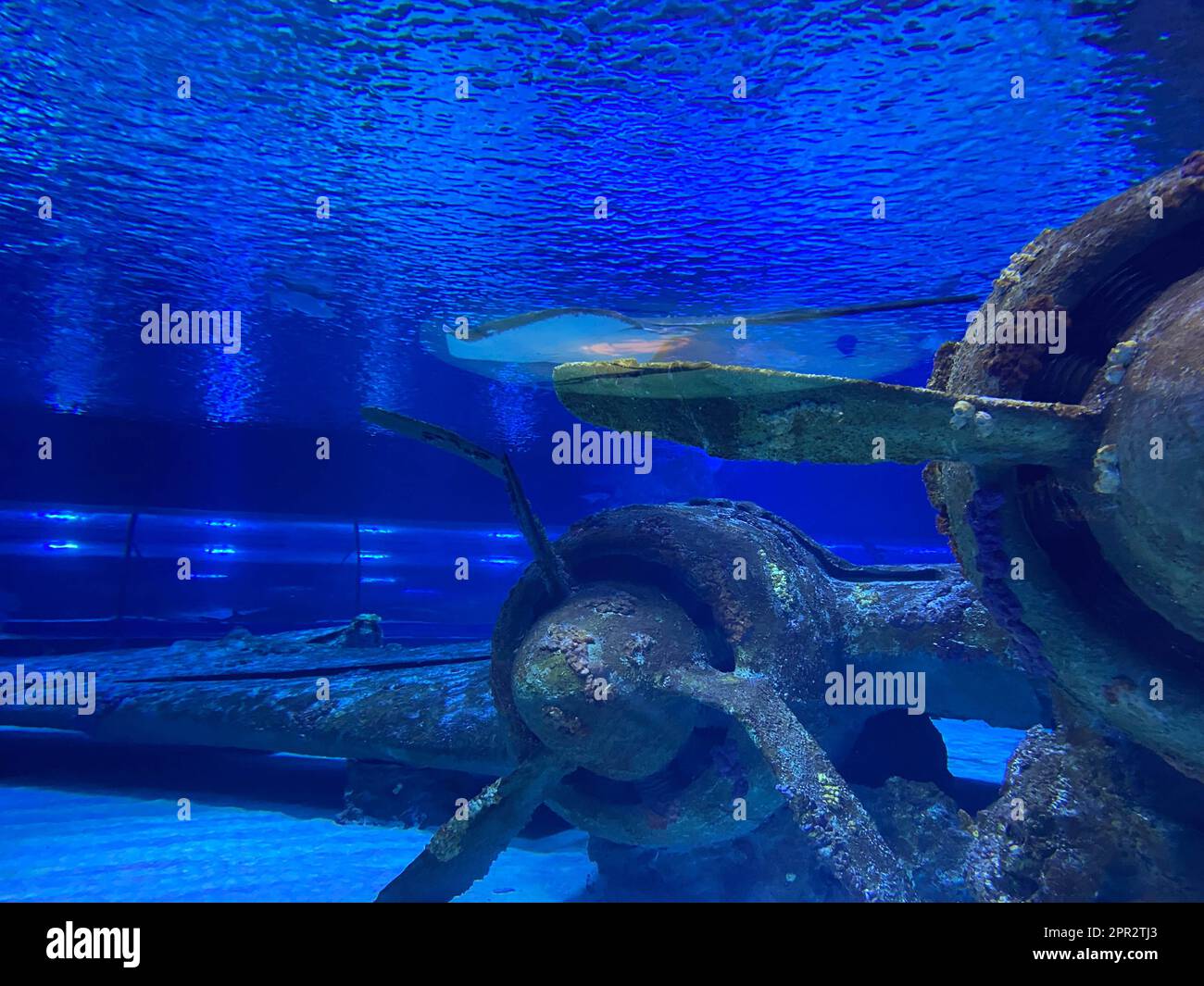 SCUBA diver under the jet engine of an underwater plane wreck Stock