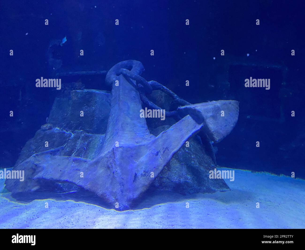 Closeup of anchor under the sea. Stock Photo