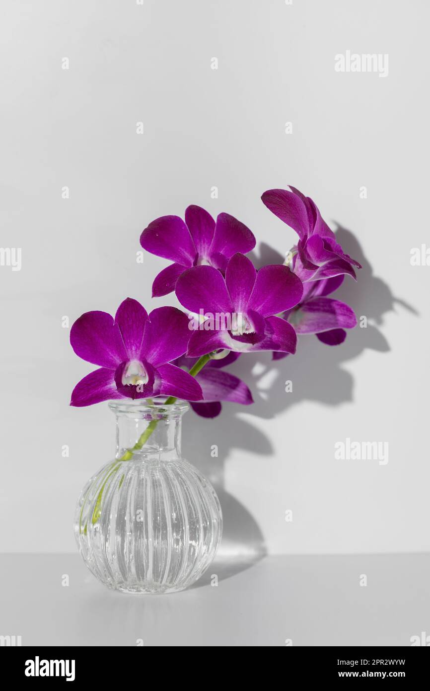 White Orchids With Purple Heart Stock Photo - Download Image Now - 2015,  Anniversary, Beauty - iStock, image size:866x1390