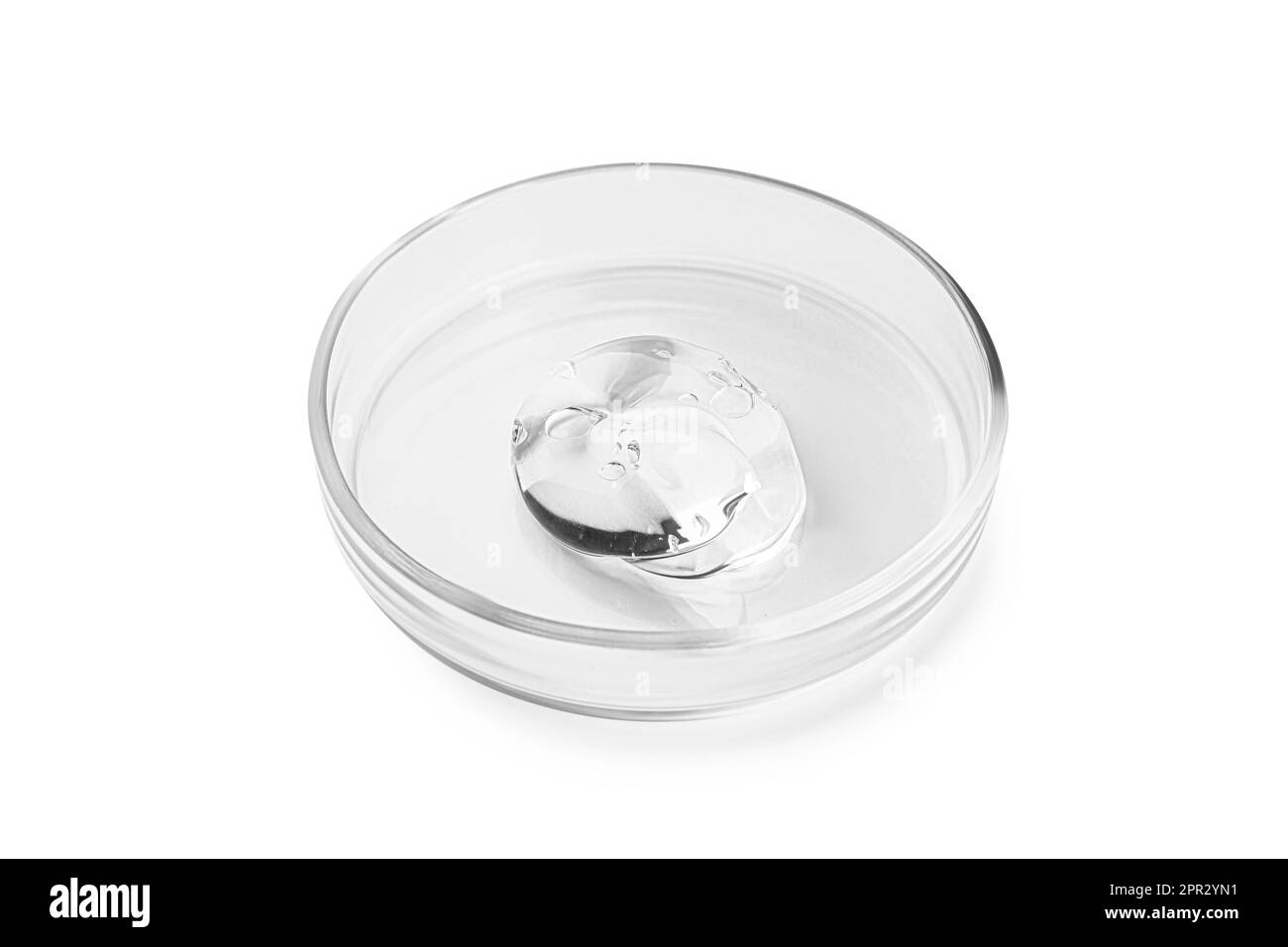 Petri dish with liquid isolated on white Stock Photo - Alamy