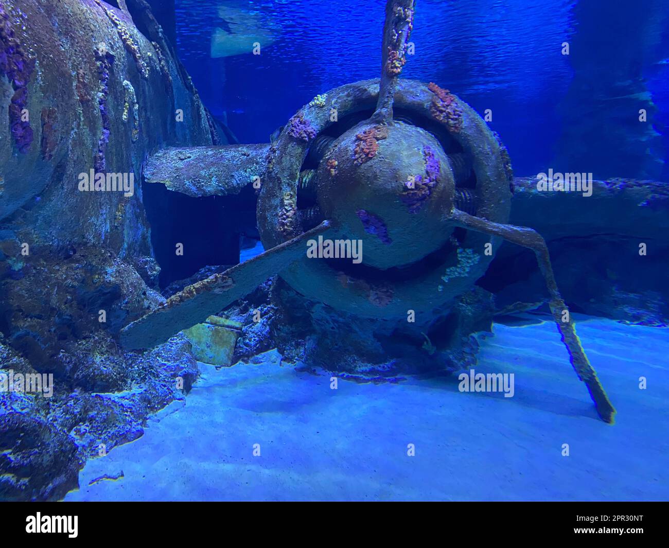 Jet engine of an underwater aircraft wreck Stock Photo Alamy