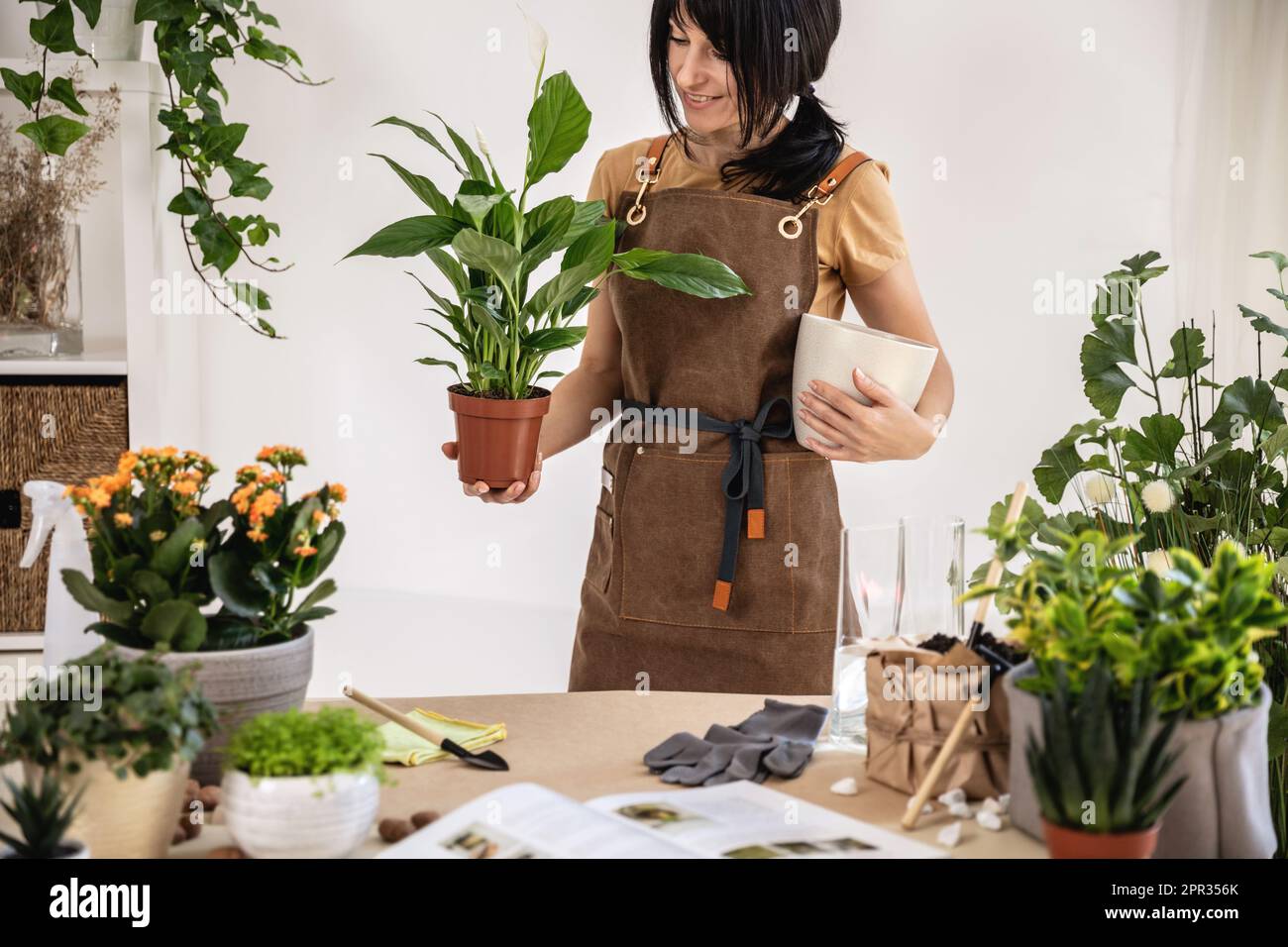 Female gardener holding potted plant, white peace lily Stock Photo - Alamy