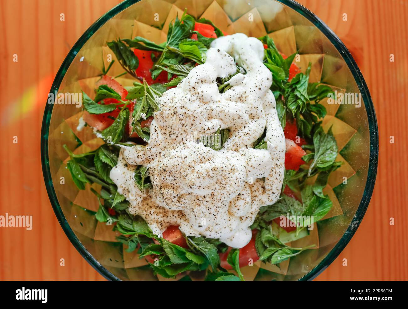 Fresh bowl of salad made with fresh Aegopodium podagraria commonly called ground elder, herb gerard, bishop's weed, gout wort leaves, tomato, cucumber Stock Photo