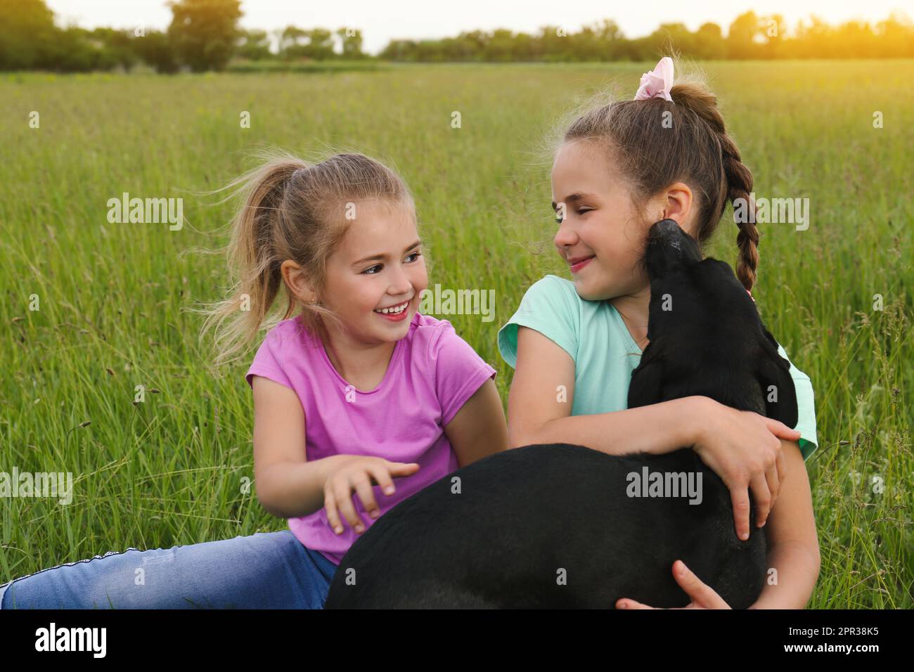 Cute little girls with dog in green field Stock Photo - Alamy
