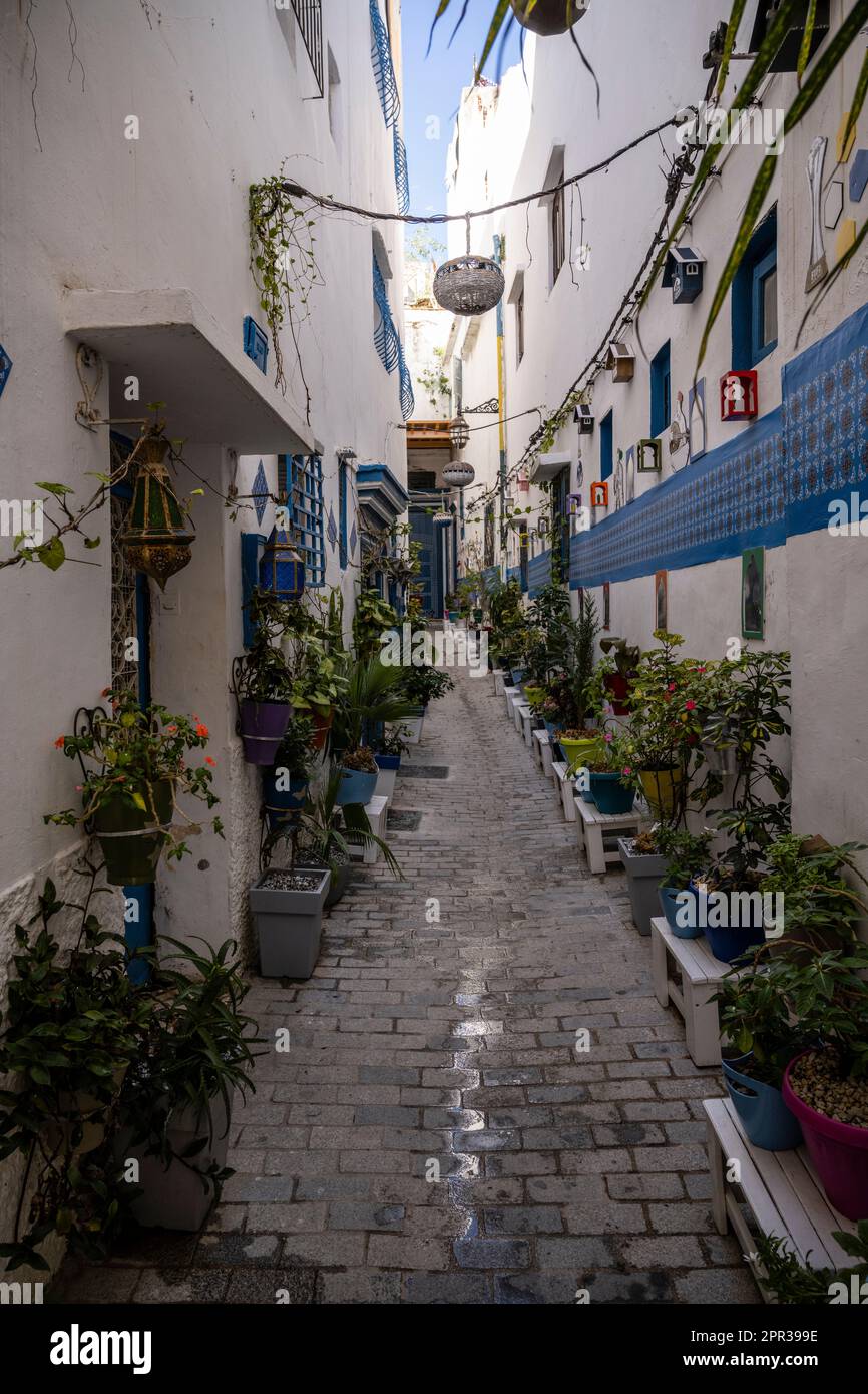 Tangier Morocco Garden Hi res Stock Photography And Images Alamy tangier-morocco-garden-hi-res-stock-photography-and-images-alamy
