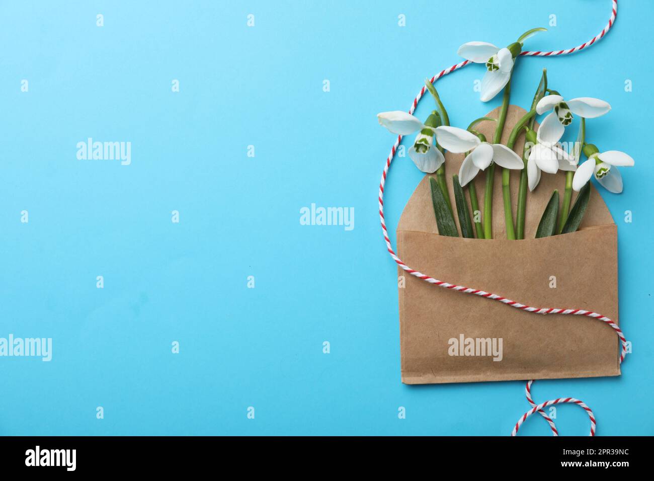 Beautiful snowdrops in envelope on turquoise background, flat lay. Space for text Stock Photo