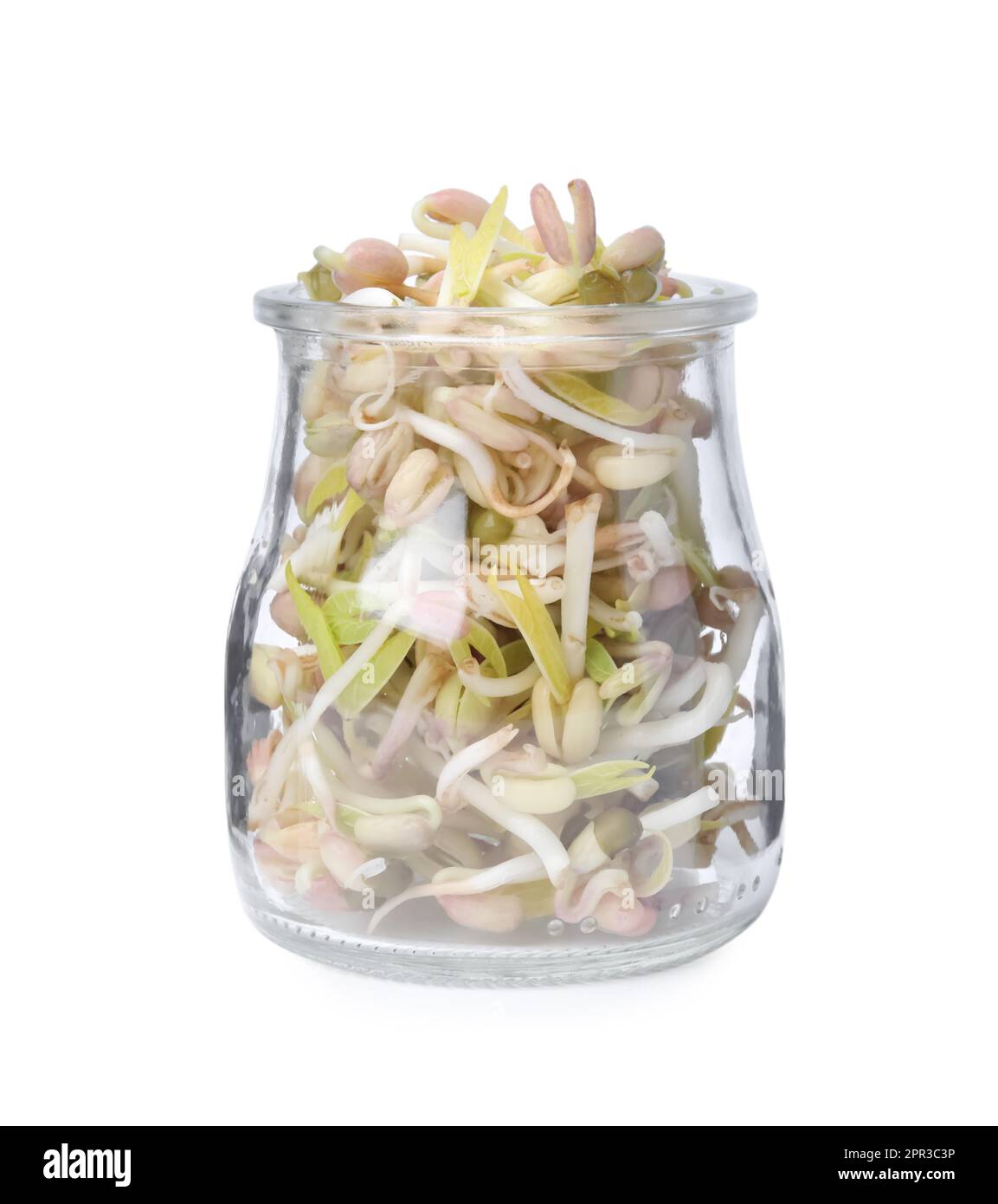 Mung bean sprouts in glass jar isolated on white Stock Photo Alamy