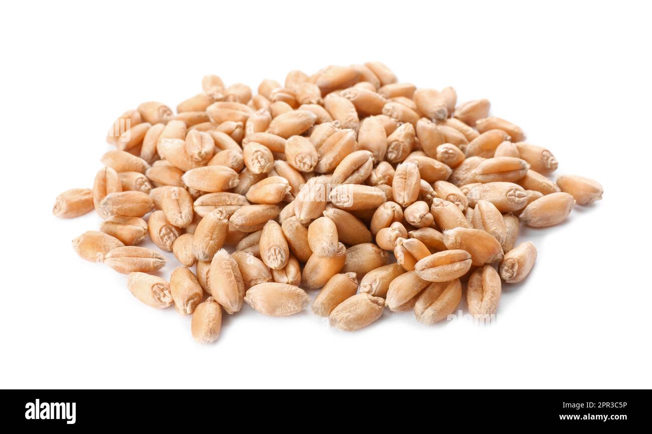 Pile of wheat grains on white background Stock Photo - Alamy