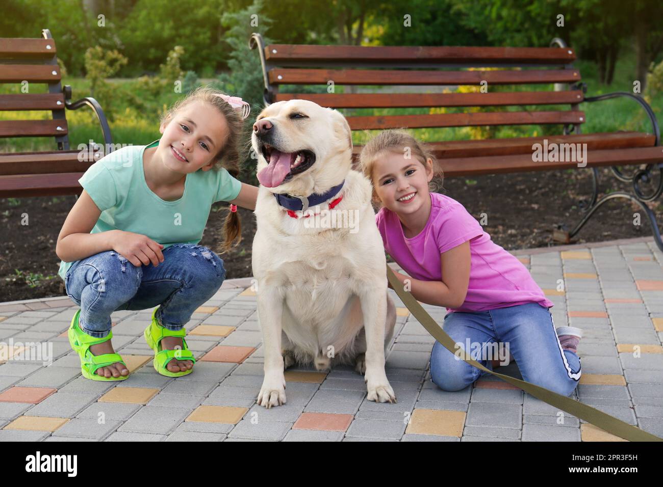 Cute little girls with dog in park Stock Photo - Alamy