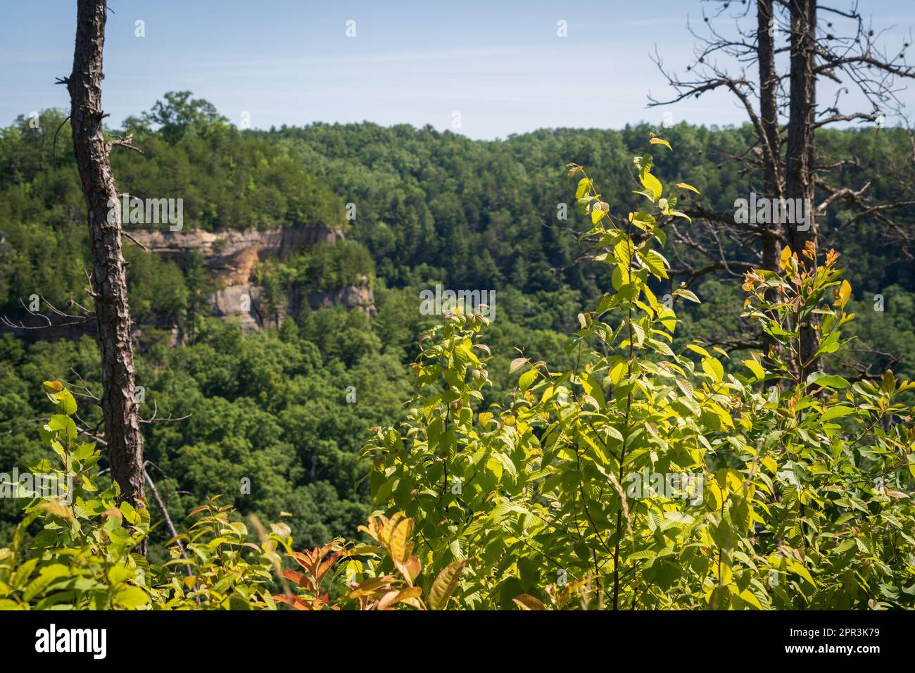 Red River Geological Area in Kentucky Stock Photo Alamy