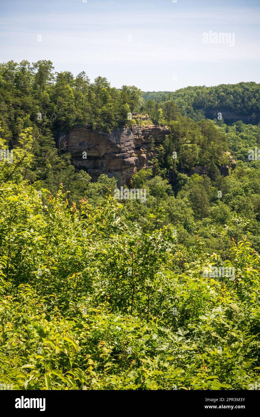 Red River Gorge Geological Area in Kentucky Stock Photo - Alamy