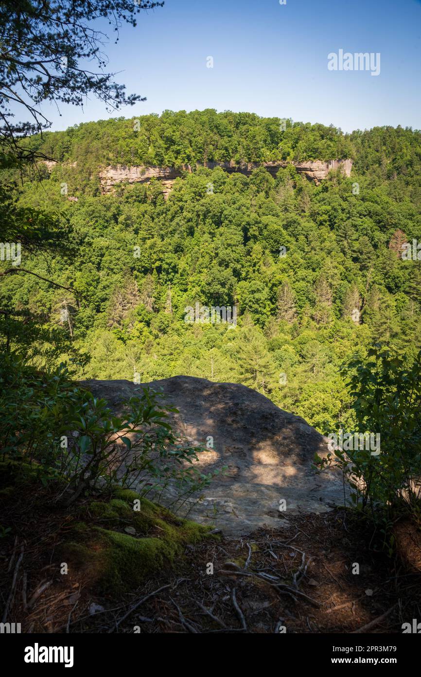 Red River Geological Area in Kentucky Stock Photo Alamy