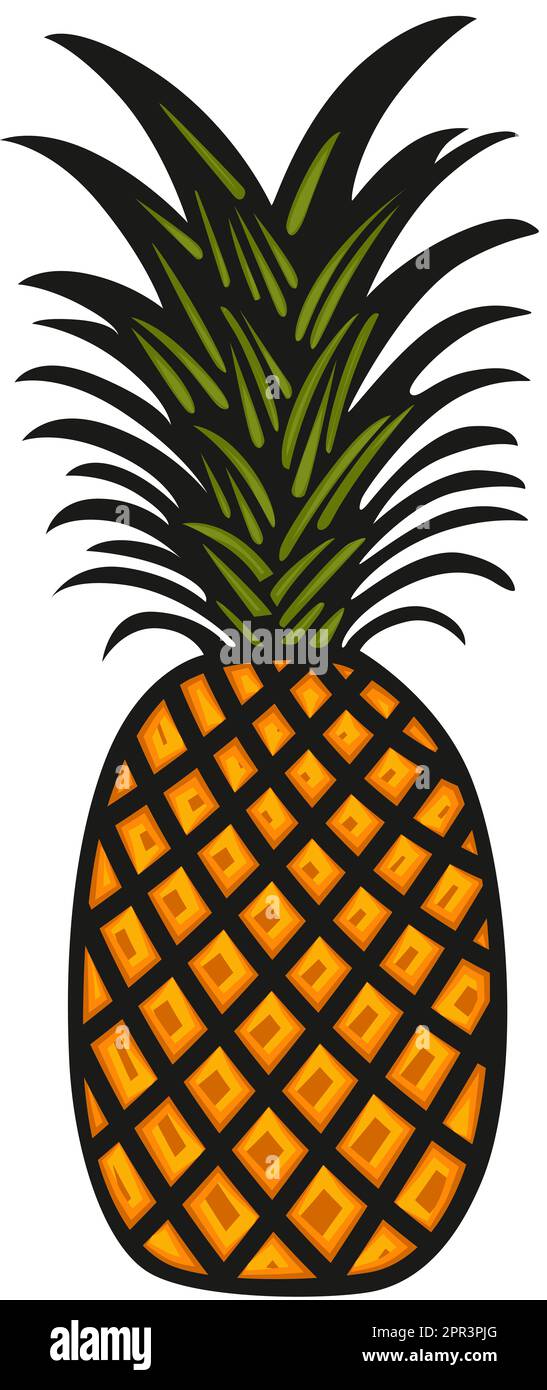 Pineapple tropical fruit icon isolated Stock Photo - Alamy