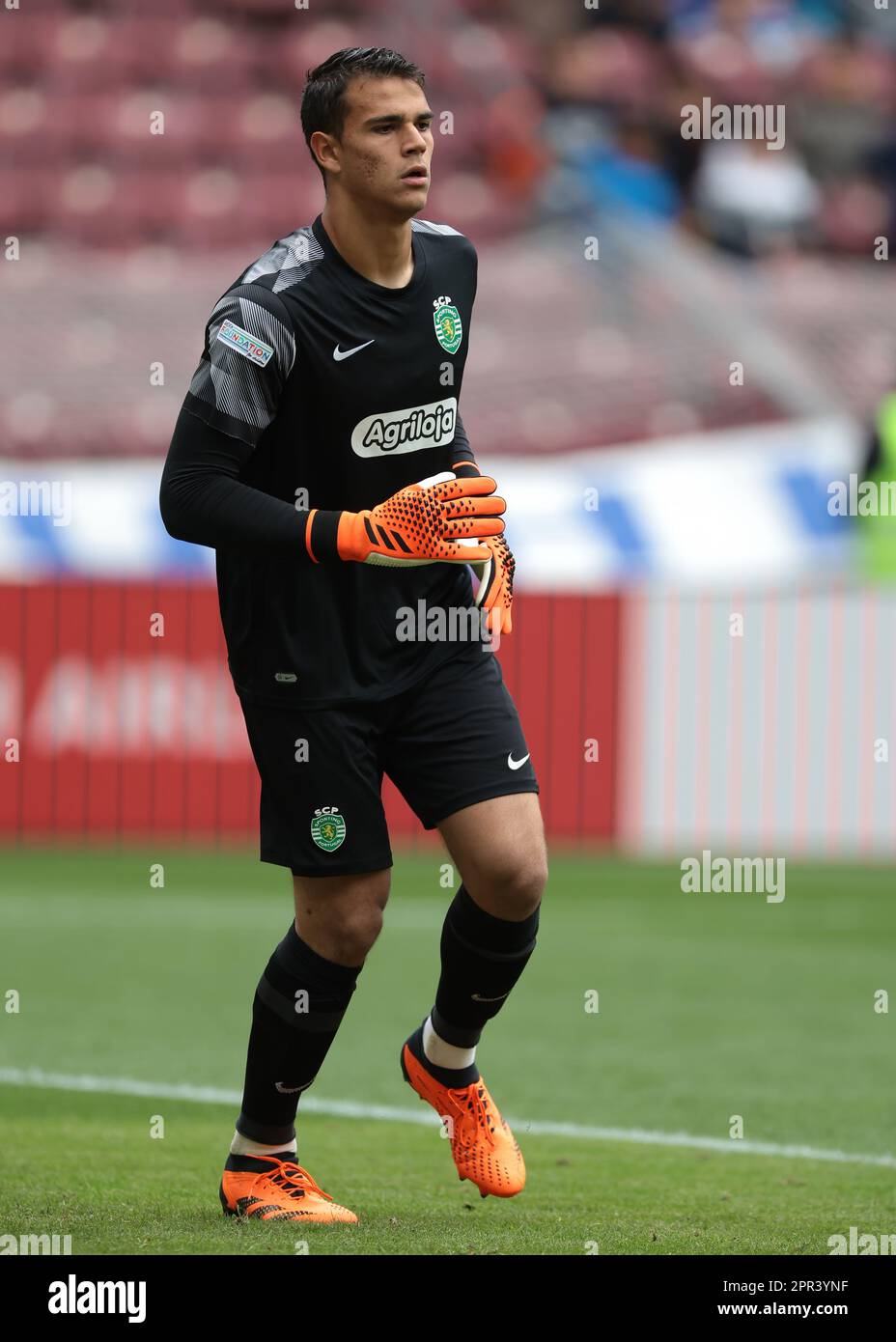 Diego callai hi-res stock photography and images - Alamy