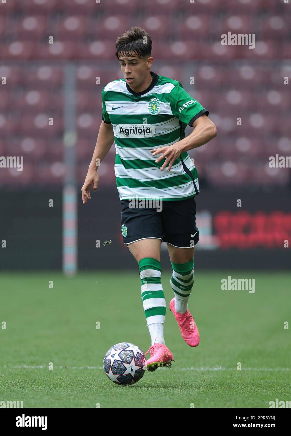 Sporting CP, UEFA Youth League