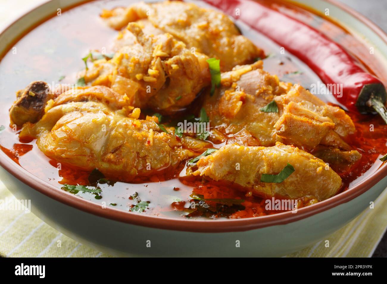 Chicken curry with roasted onion and coconut closeup on the bowl on the