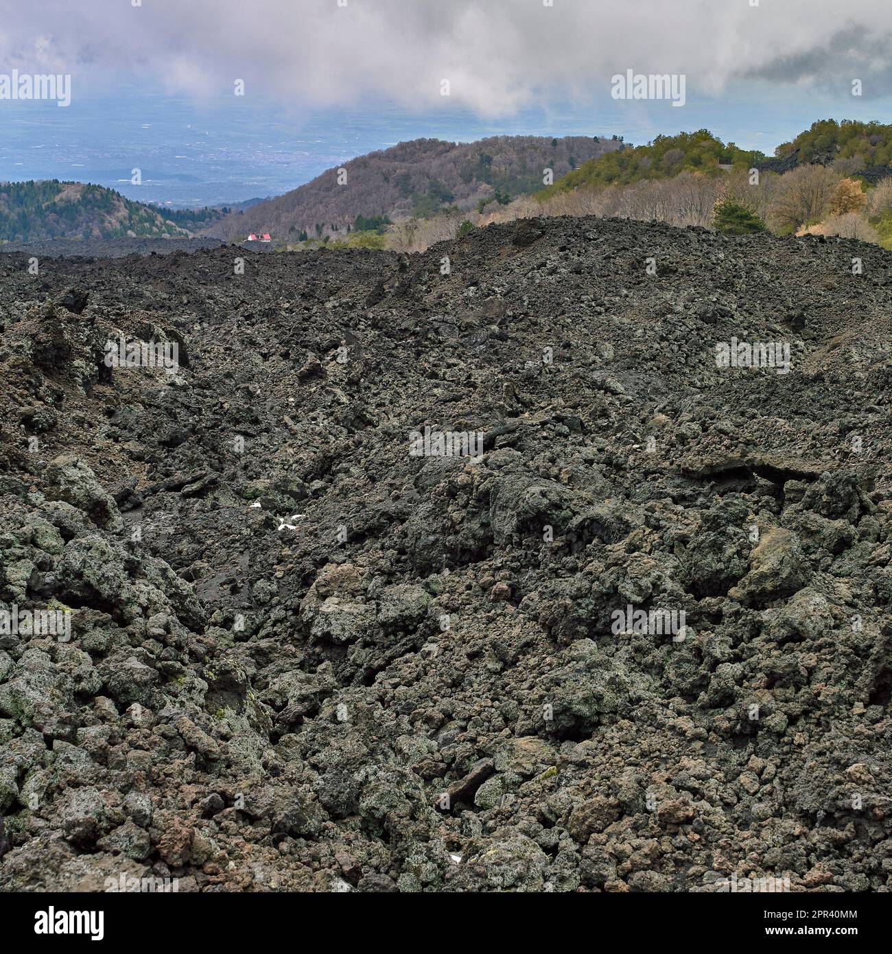 cooled lava flow on the southern slope of Etna, Italy, Sicilia, Vilino Platania Stock Photo