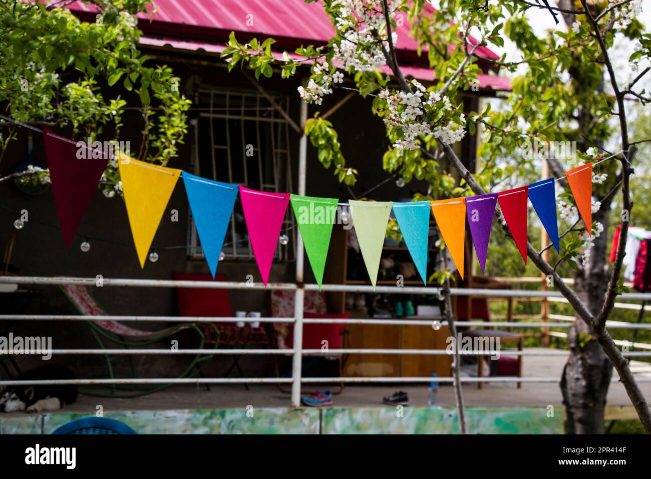 Party flags in yard, colorful flags Stock Photo Alamy