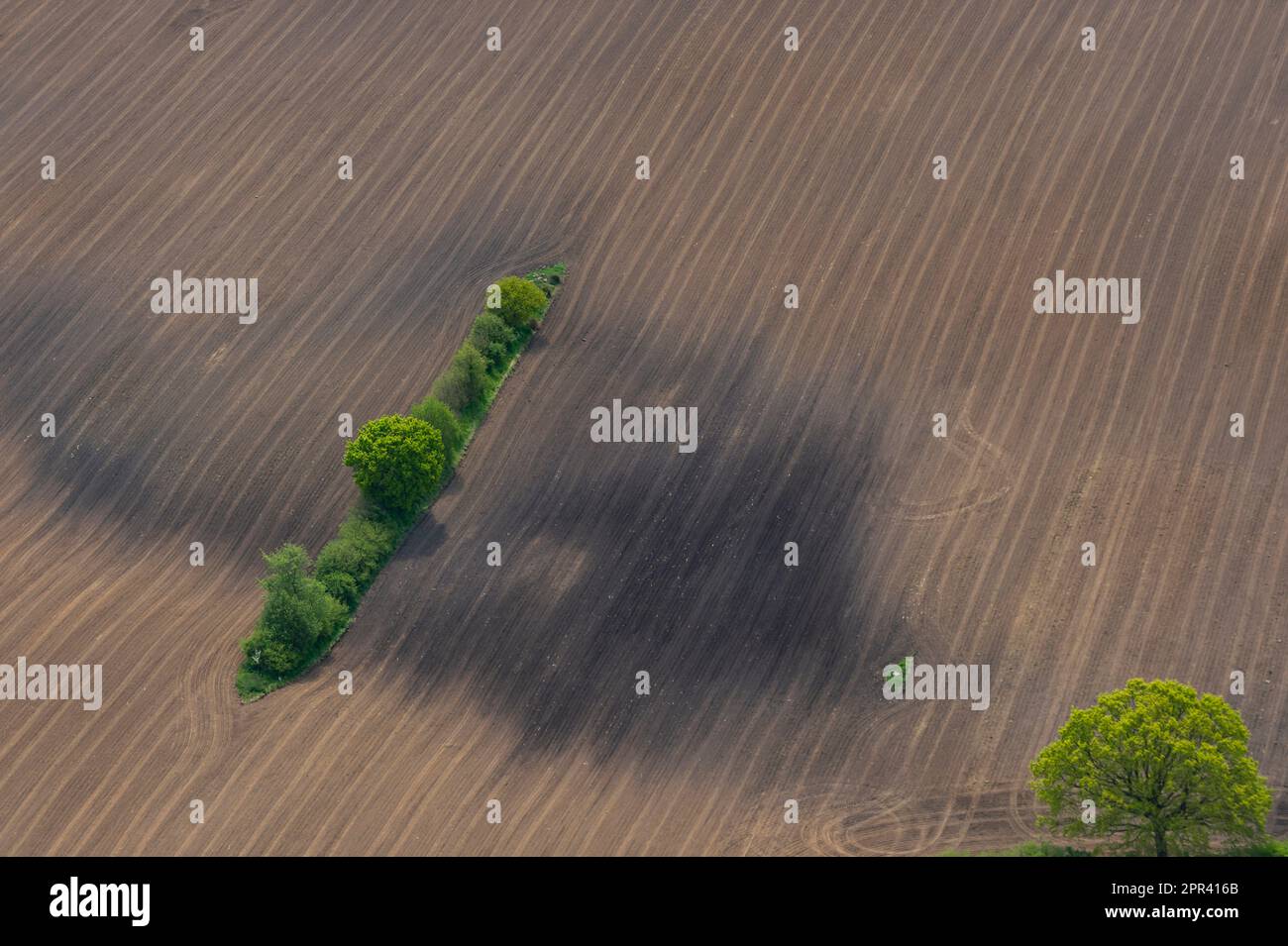 green island in brown farmland, aerial view, Germany, Schleswig-Holstein Stock Photo